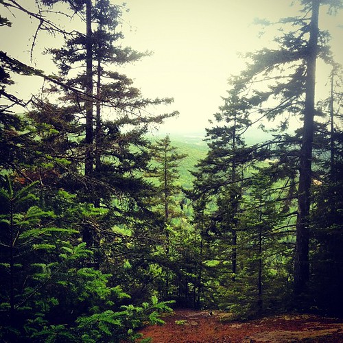 wood mountain canada forest photo eric quebec wright mont ouellette iphone4