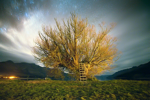 longexposure newzealand lake tree stars geotagged cloudy nz otago ladder wakatipu kinloch glenorchy geo:lat=44844175972345994 geo:lon=1683497018362183
