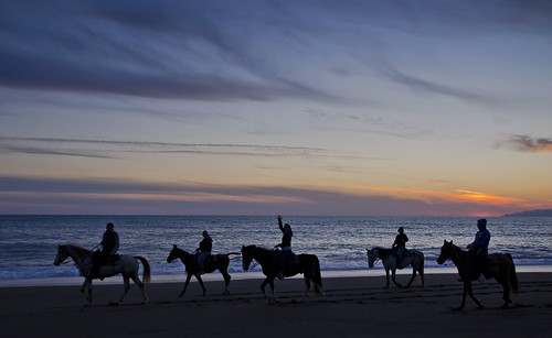 sunset sea horses italy italia tramonto mare basilicata riding cavallo gallop maratea galoppo castrocucco cavalcare nikond7000