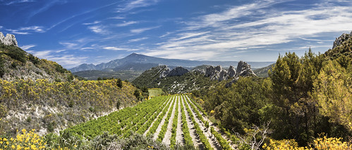 panorama sun soleil couleurs postcard getty provence vigne vaucluse randonnée ventoux dentelles montmirail dentellesdemontmirail