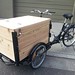 Icicle Tricycle Cedar Coffee Bike