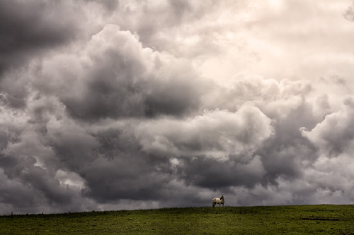 light horse storm clouds canon landscape cheval day mood lumière 7d nuages paysage ambiance tempete 50mmf18