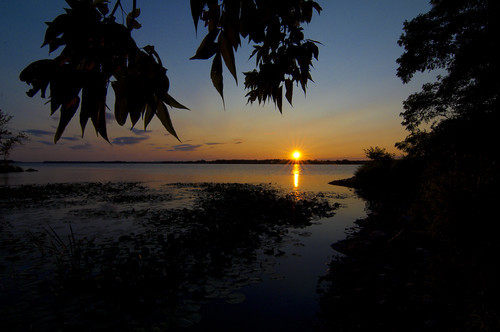 sunset ottawa ottawariver petrieisland