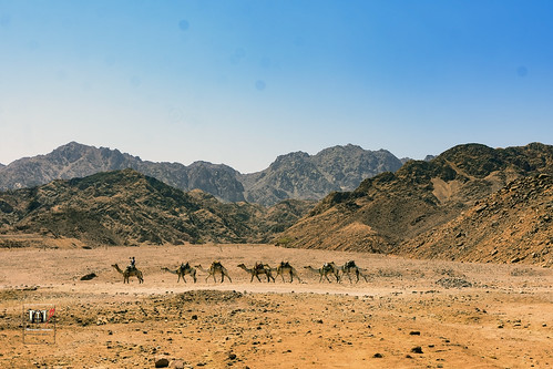 nikond7100 nikon tamron2470 tamron wideangle sand diving mountain camel caravan sea light sun sunrise egypt sinai dahab blue hole safari
