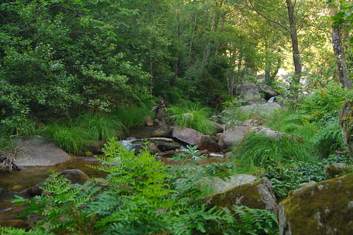 extremadura lavera naturaleza nature agua water río river garganta gargantalaolla verano summer