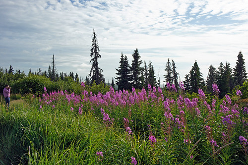 travel friends usa color nature alaska landscape village inna 2011 funorinterest plantsortres