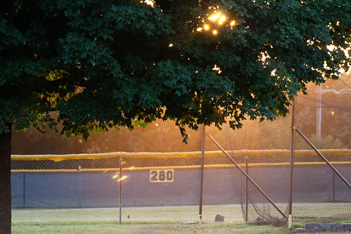 park light sunset tree baseball outfield