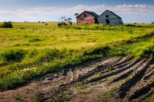 farm saskatchewan agriculture prairies ruraldecay