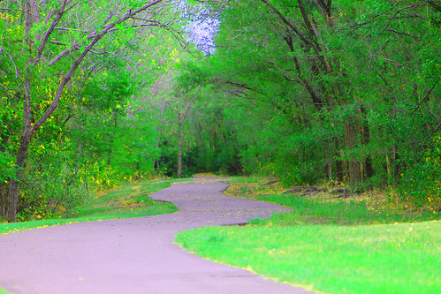 green landscape path sedgwickcountypark