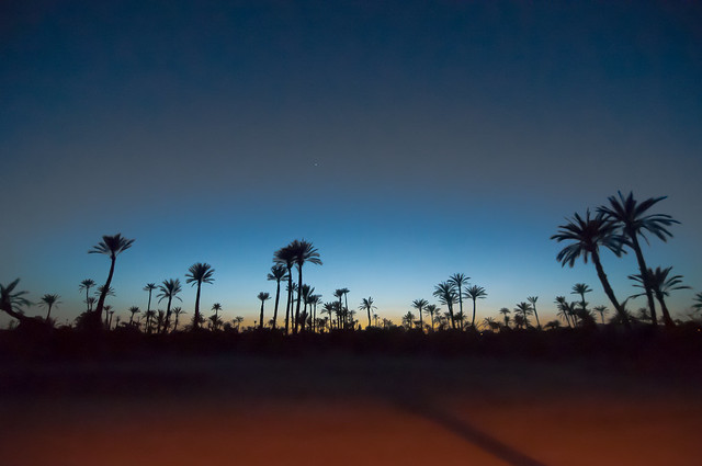 06052012-Palmeraie Marrakech by night