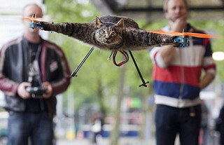 Catcopter