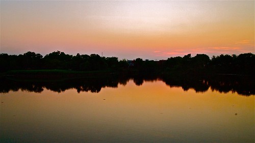 trees sunset lake water river dark