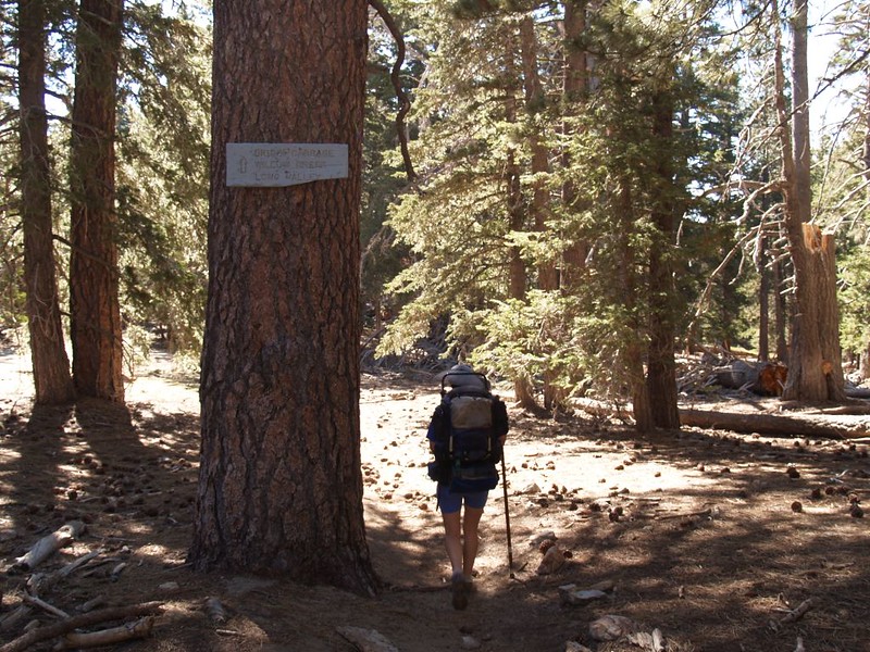 Leaving Saddle Junction in the San Jacinto Wilderness on the Willow Creek Trail