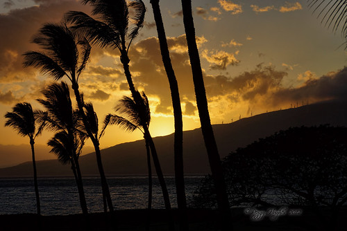 trees sunset sky mountains landscape hawaii scenic maui palmtree peggy kihei westmauimountains ©allrightsreserved ©peggyhughes may2012
