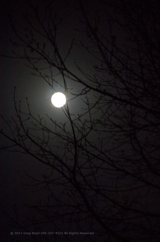 landscape sky night moon heavens silhouette trees tree luna