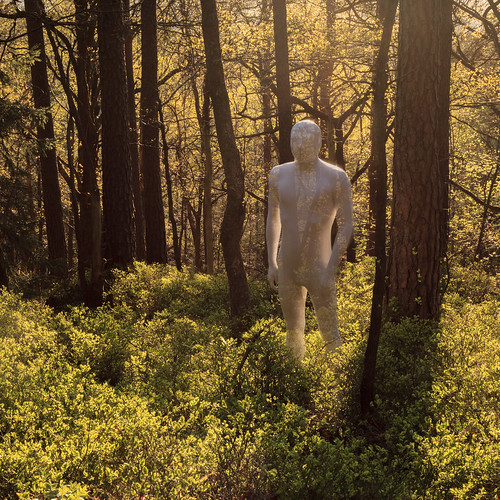trees selfportrait forest zentai