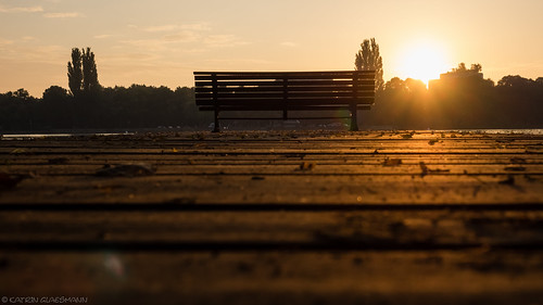 bank steg maschsee sonnenaufgang hannover bench wood sunrise low hanovergermany