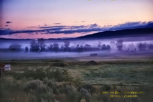 ranch morning mist fog sunrise dawn am colorado foggy dew thegalaxy aspenbreeze flickrstruereflection1 rememberthatmomentlevel1 rememberthatmomentlevel2 rememberthatmomentlevel3