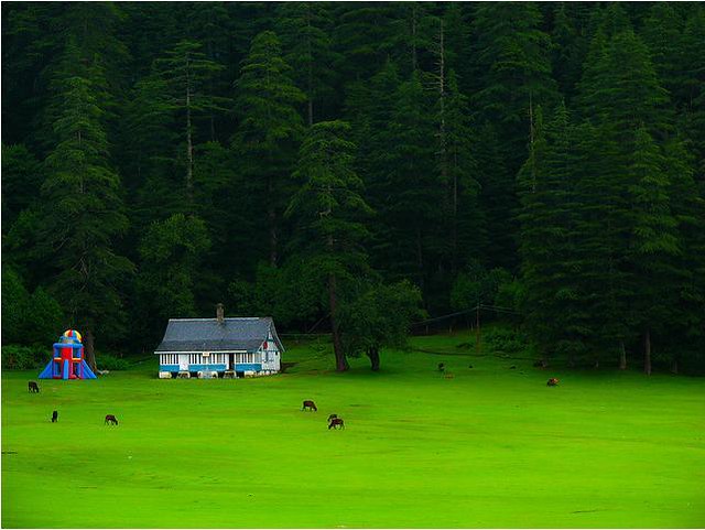 Khajjiar – Lake, Snowfall Time, Weather, Hotels, And History – Travel  Nolimit