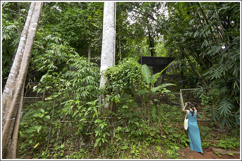 Gibbon Rehabilitation Center in Phuket