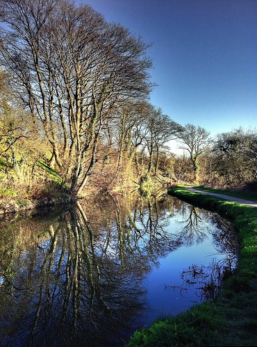 trees reflections landscape canal hdr iphone iphone4 iphoneography flickrstruereflection1