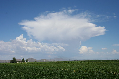 arizona clouds farm orchard monsoon fields agriculture willcox appleannies