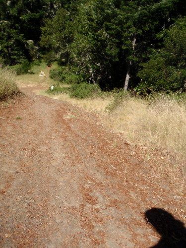 SG Ridge Trail