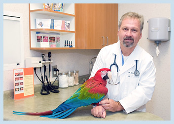 Help! I Don’t Have An Avian Veterinarian!