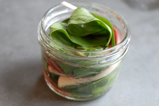 Pickling wild ramps by Eve Fox, Garden of Eating blog copyright 2012
