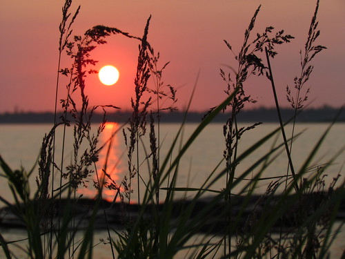 sunset sun nature wisconsin weeds lakemichigan doorcounty colorphotoaward moonlghtbay
