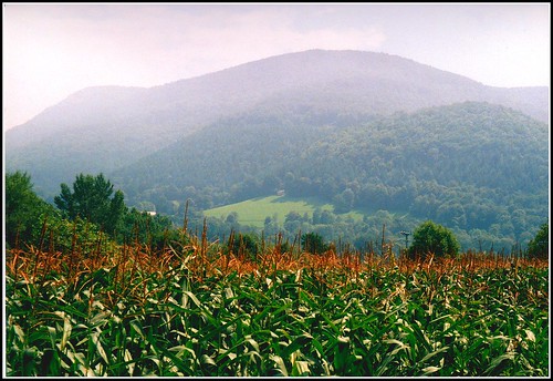 mountain france green field montagne landscape corn path vert hills paysage chemin champ 65 colline midipyrénées maïs hautespyrénées lortet