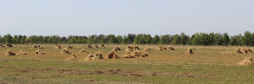 haystack sk canada saskatchewan prairies