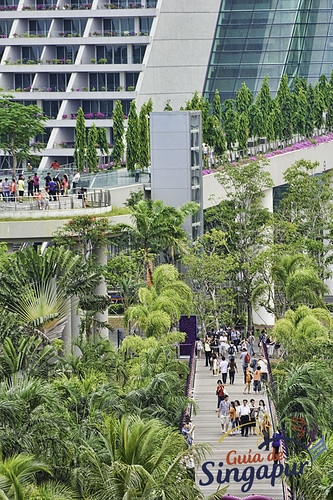 Gardens by the Bay, Singapore