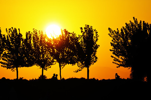 sunset sun tree backlight couple alone viceversa