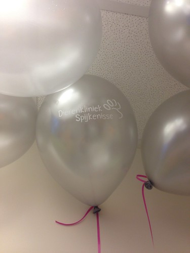 Heliumballonnen Bedrukt Dierenkliniek Spijkenisse