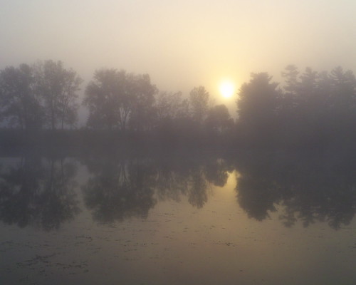 reflection fog sunrise plover