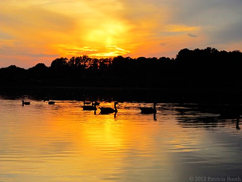 sunset silhouette geese tn dailyphoto cookeville 366 canecreekpark