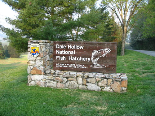 tennessee trout dalehollow mitigation fisheries entrancesigns fishandwildlifeservice nationalfishhatchery