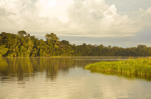 trees sunset water agua rainforest selva perú amanecer jungle amazonia nuves tambopata madrededios