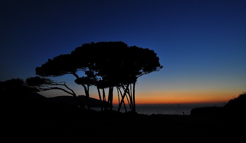 sunset sea summer italy night nikon italia tramonto mare estate tuscany toscana sera pinewood pineta baratti d90