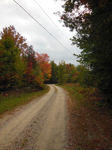 road autumn trees ontario canada fall nature colors rural landscape nikon scenery colours countryroad lanarkcounty