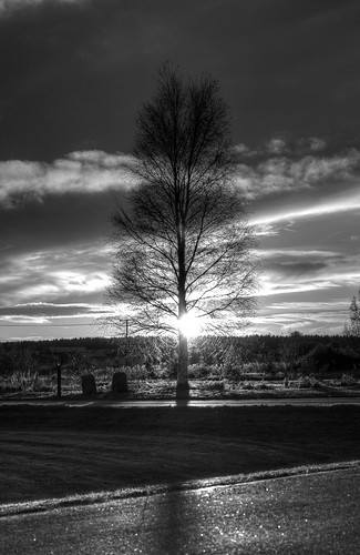 sunset blackandwhite tree lines hdr malax blackandwhitehdr maalahti