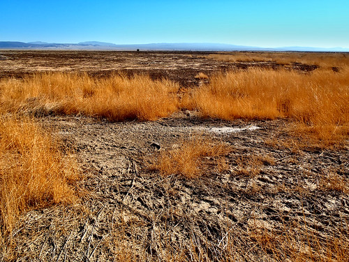 california ca usa lake abandoned yellow landscape unitedstates desert dry harper barren 2012 lockhart