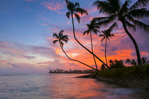 sunset seascape hawaii oahu palmtree 5dmarkii 24mm14lii kawaikuibeachpark