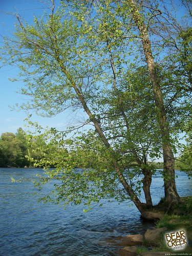 lake nature river nc meadow northcarolina conover riverbend countypark riverbendpark catawbariver catawbacounty