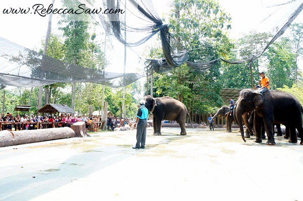 Malaysia Tourism Hunt 2012 - National Elephant Conservation Centre