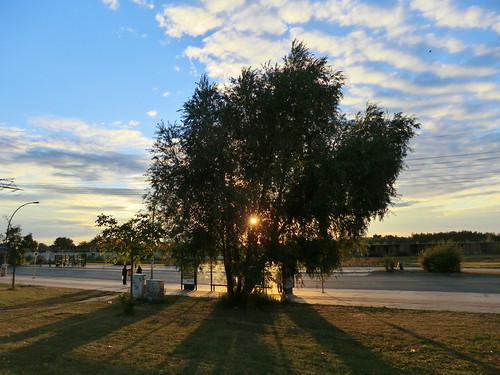 blue autumn sunset sky tree berlin sonnenuntergang herbst himmel september blau baum bushaltestelle eastberlin 2012 bvg ostberlin stromleitung guessedberlin altglienicke gwbbergfels schönefelderchaussee