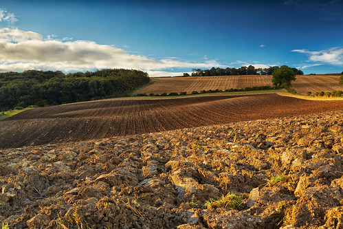 uk england sky clouds rural landscape day farm farming earlymorning crop land fields crops agriculture rolling malton northyorkshire agricultural stubble ploughed canon1740f4 settrington canon5dmk3 markmullenphotography thorpebasset pwpartlycloudy