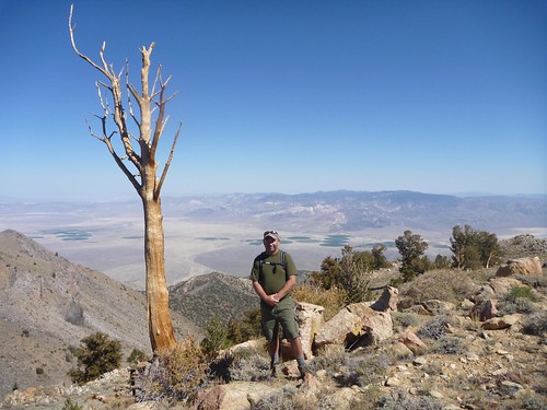 Paiute Trout