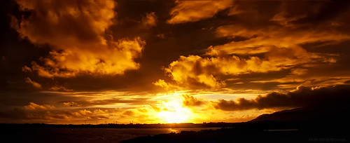 sunset silhouette sunrise sundown eveningsun outdoor photostitch yelloworange thegalaxy goldenlighthour skycloudssilhouette mygearandme haveriggbeach markwinterbournephotographycanoneosbradfordwestyorkshireunitedkingdomleedsyeadon markwinterbournephotographycanoneosbradfordwestyorkshire